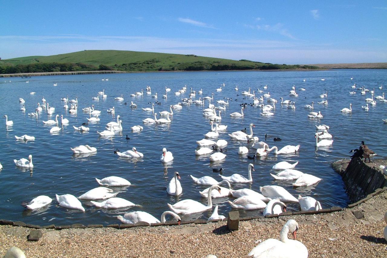 Abbotsbury Tea Rooms المظهر الخارجي الصورة